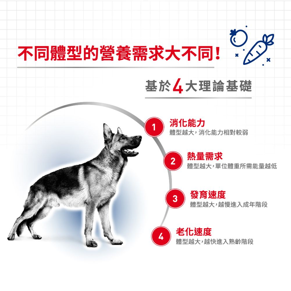 SHN 大型成犬營養配方