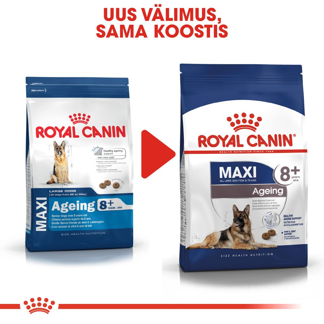 Royal Canin Maxi Ageing 8+ kuivtoit