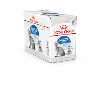 Royal Canin Indoor Jelly Adult