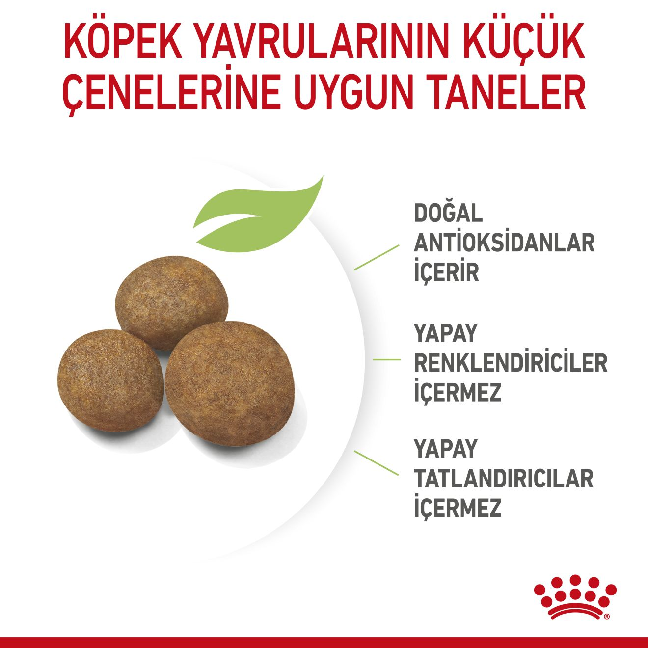 Maxi Puppy Yavru Köpek Kuru Maması