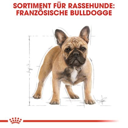 RC-BHN-FrenchBulldog-Trockennahrung_Sortiment_DE