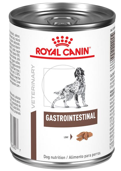 GastroIntestinal_Dog_WET
