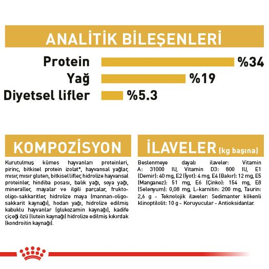 British Shorthair Adult Yetişkin Kedi Kuru Maması