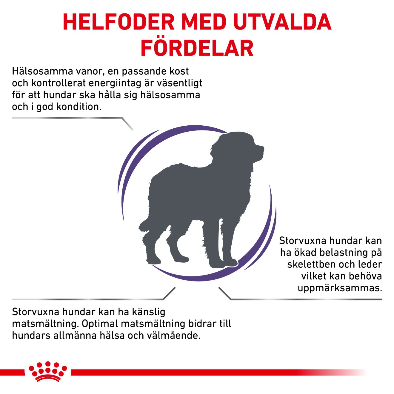 Health Adult Large Dog
