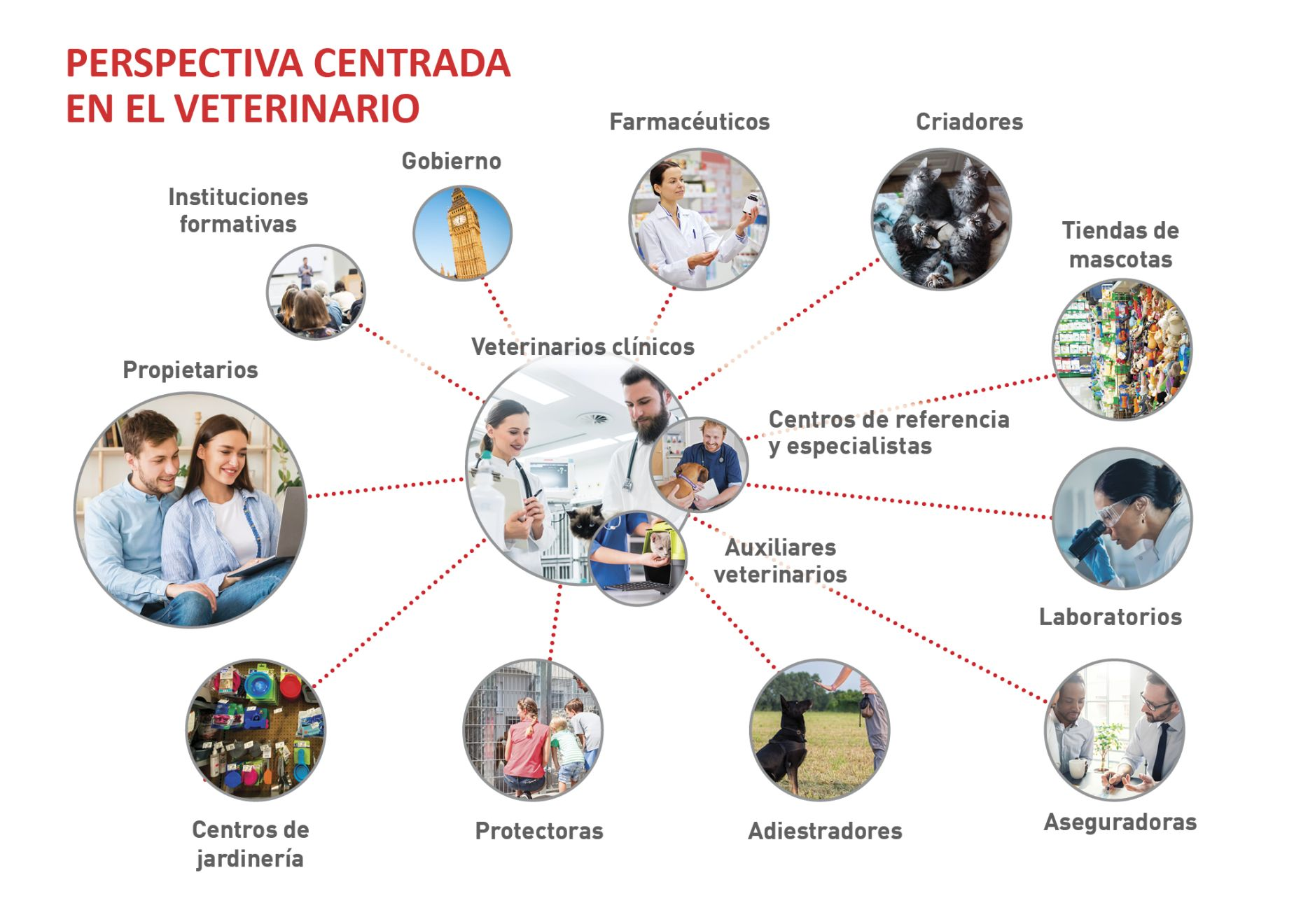 Diferentes implicados o stakeholders desde una perspectiva centrada en el veterinario