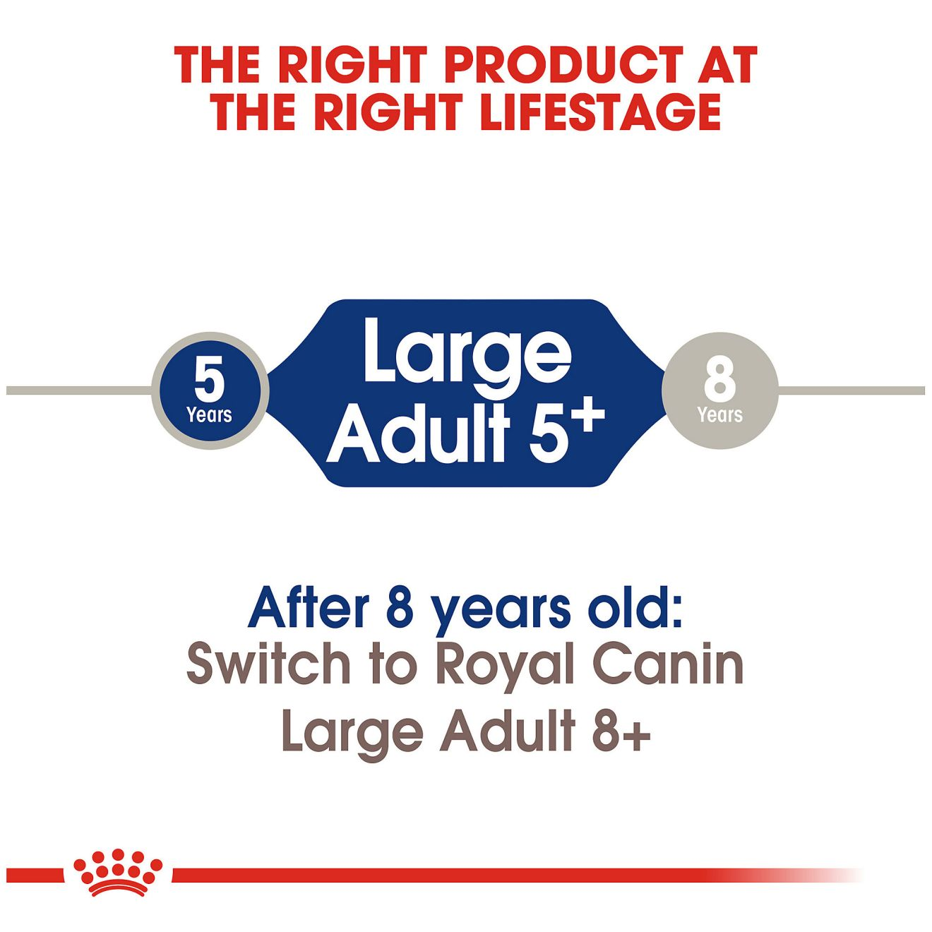 Large Adult 5+ Dry