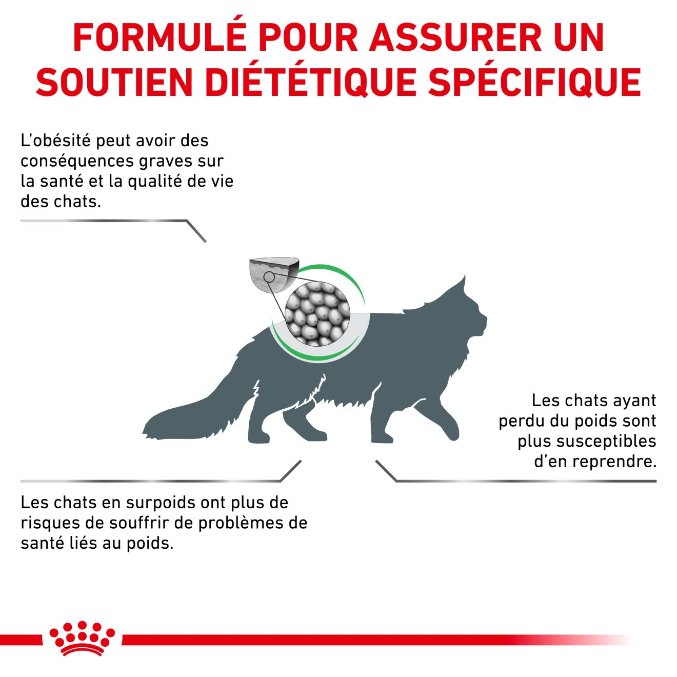 Croquettes pour Chat Royal Canin Satiety Weight management St Maur