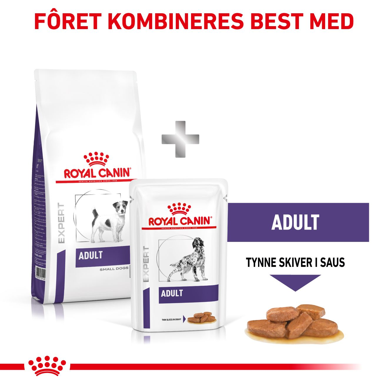 Health Adult Small dog