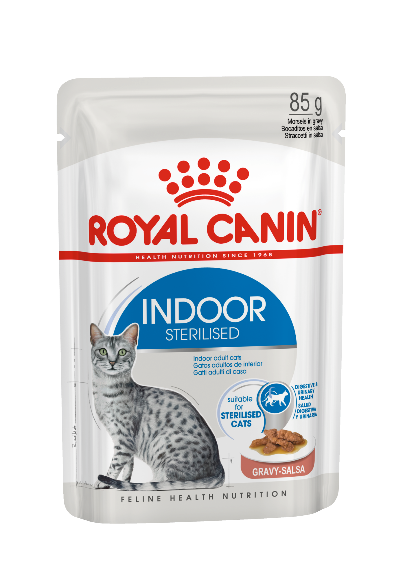 Royal canin 2024 kitten gravy salsa