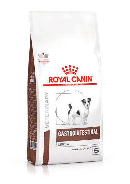 Dog food clearance for intestinal problems