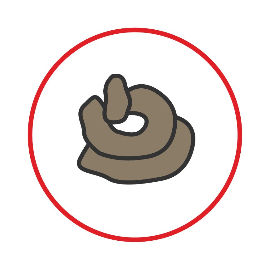 Illustration of very moist poop