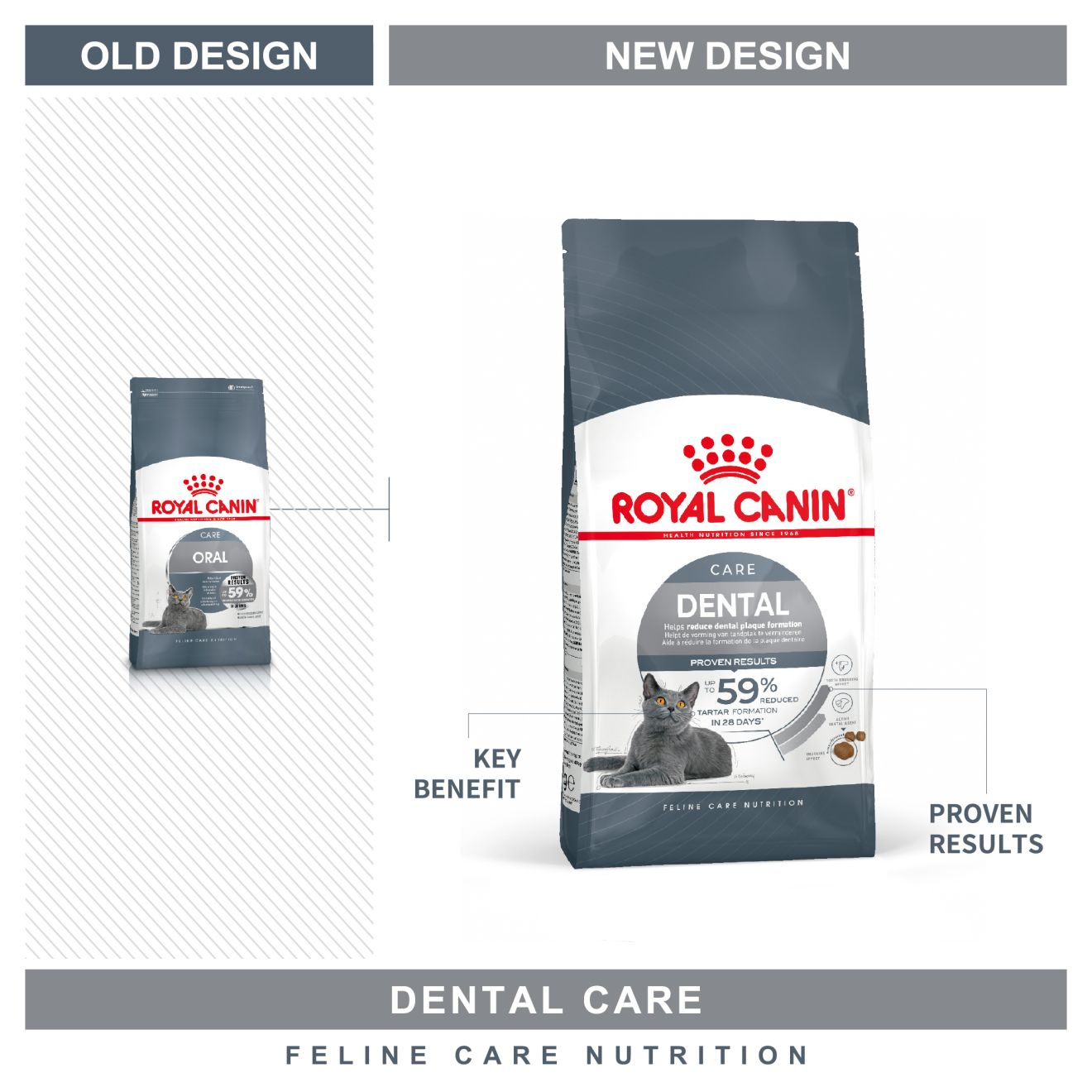 Royal canin dental 2024 cat food canada