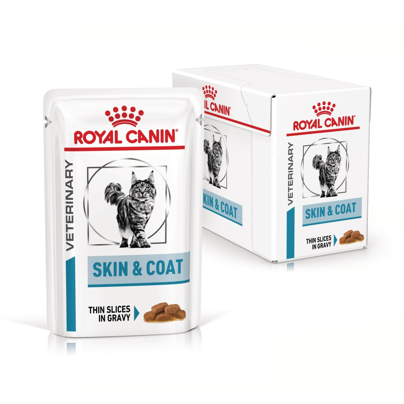 Cat Skin & Coat