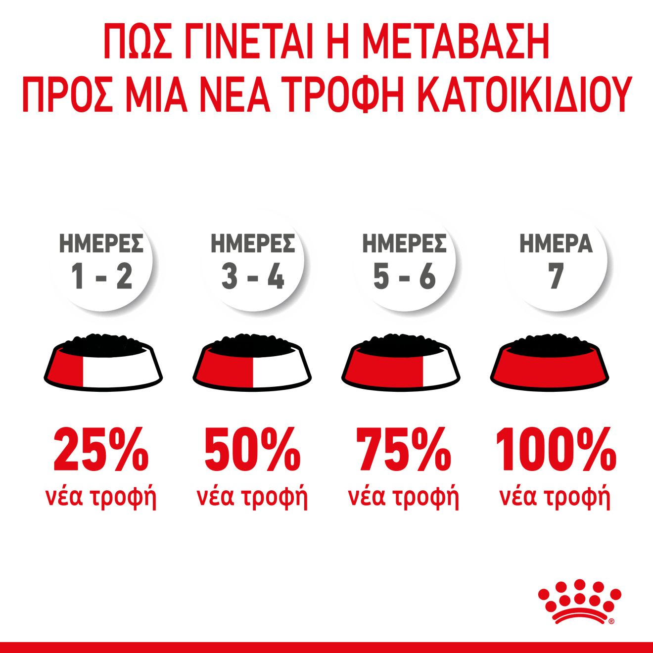 KITTEN Κομματάκια σε σάλτσα