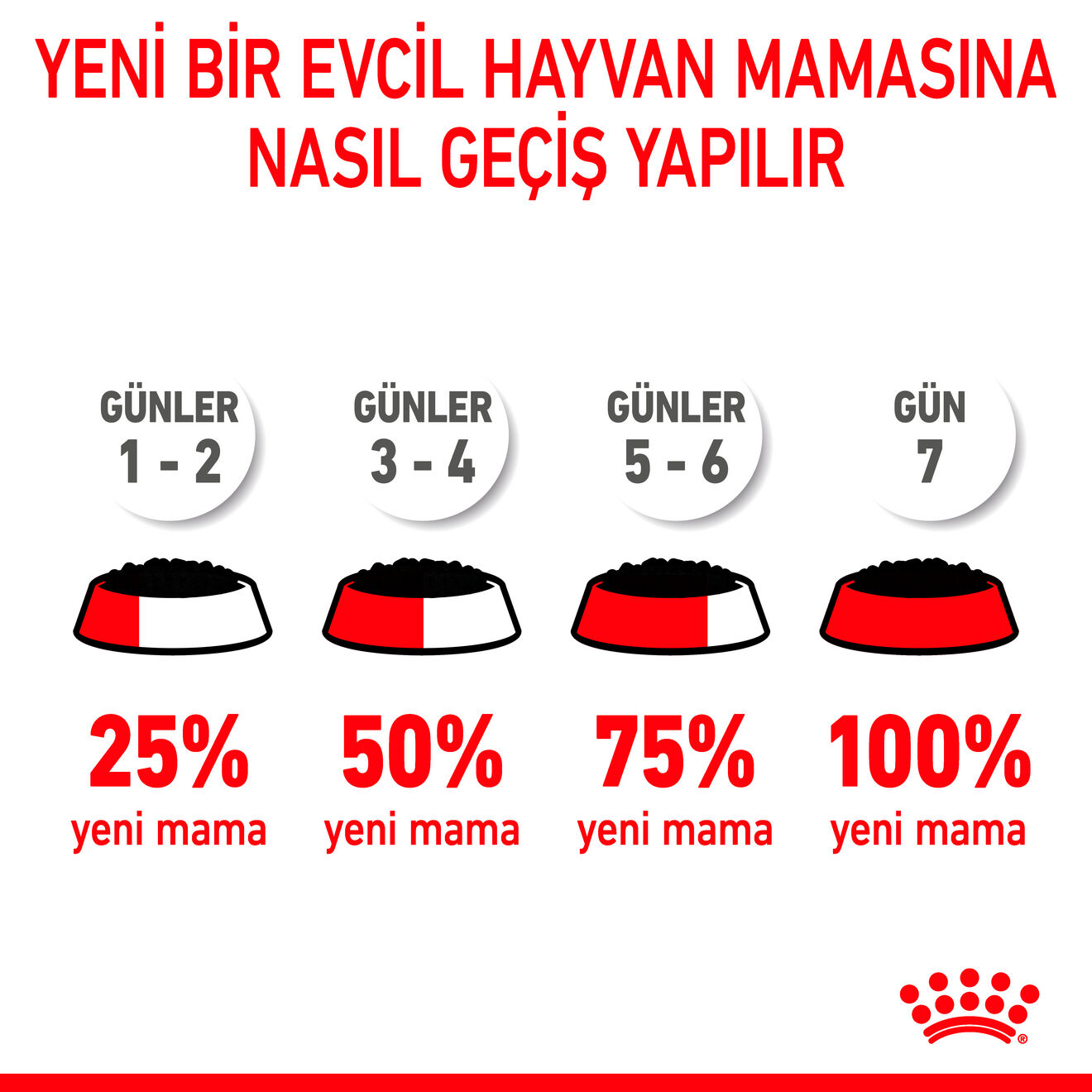 Maxi Puppy Gravy Yavru Köpek Yaş Maması