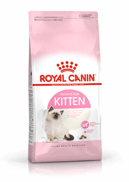 16-KITTEN-B1-RU