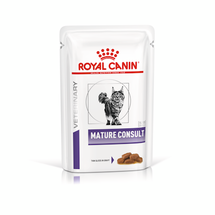 Royal canin cat food best sale for 1 year old