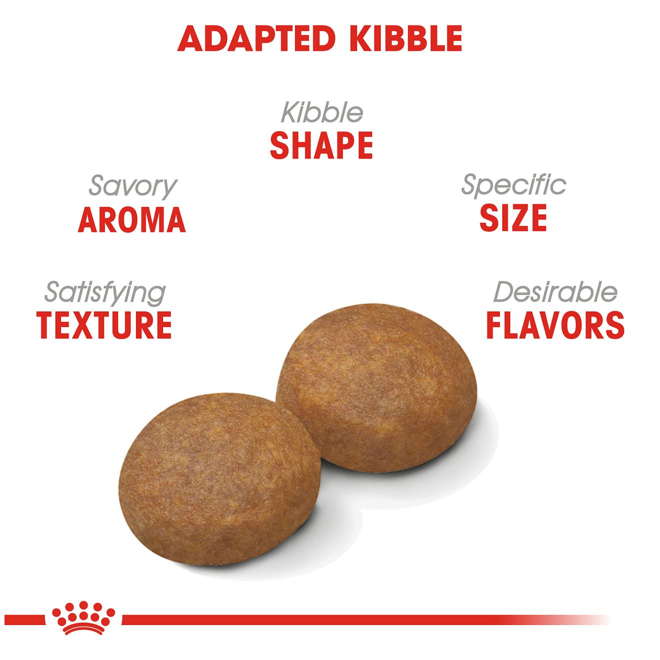 Large Adult 5+ Dry Royal Canin US