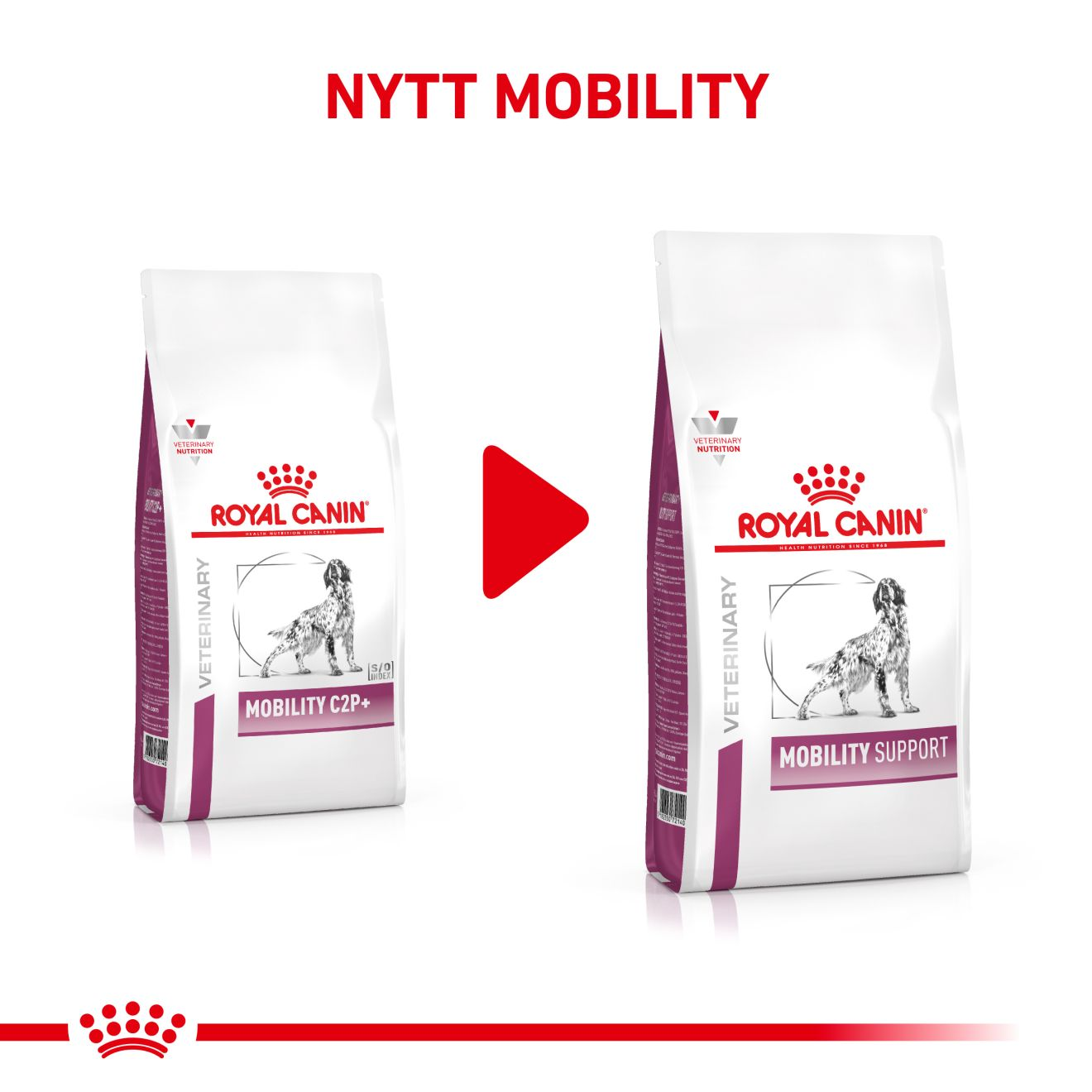 Vital Mobility Support 