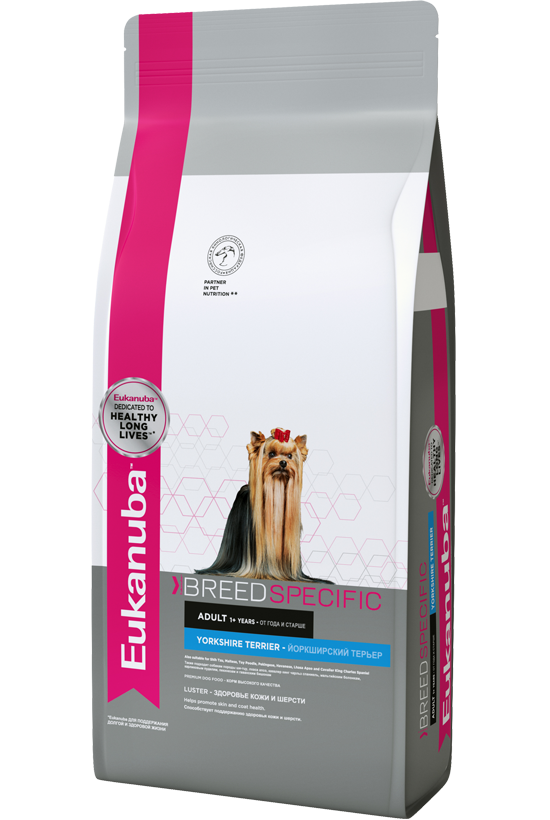 Eukanuba yorkshire terrier dog food best sale