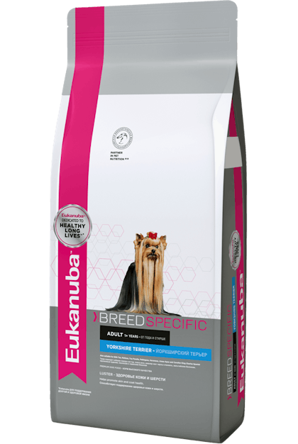 Eukanuba adult breed 2024 specific yorkshire terrier