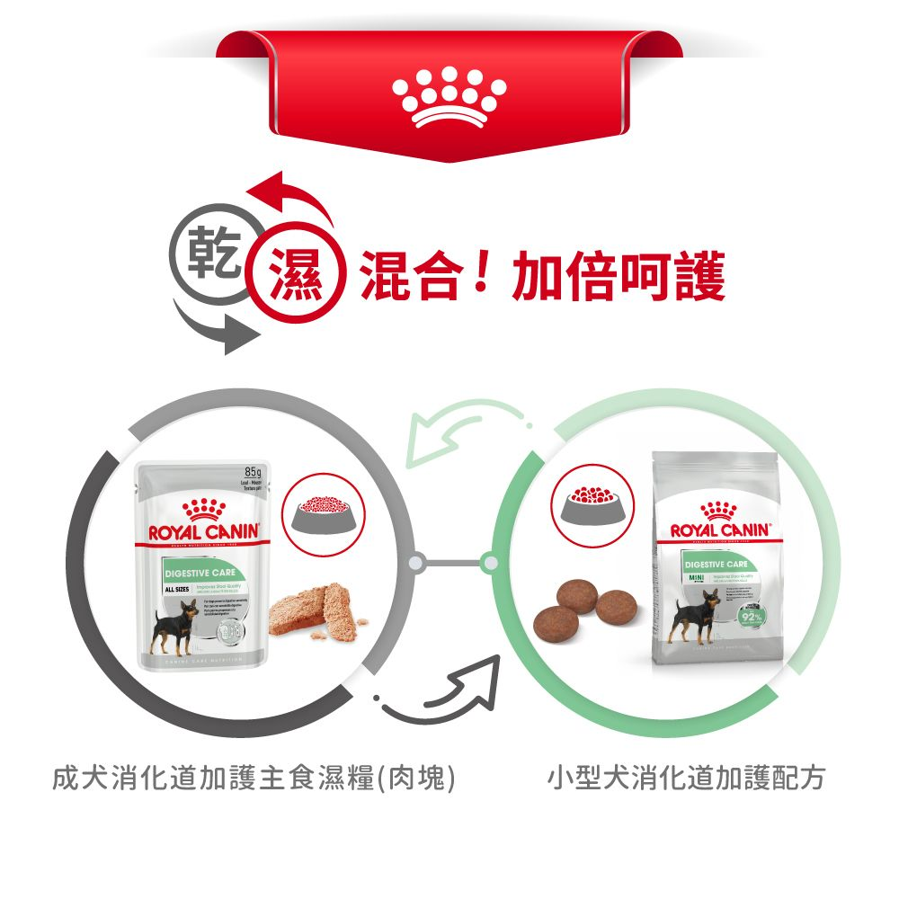 CCN 成犬消化道加護主食濕糧（肉塊）