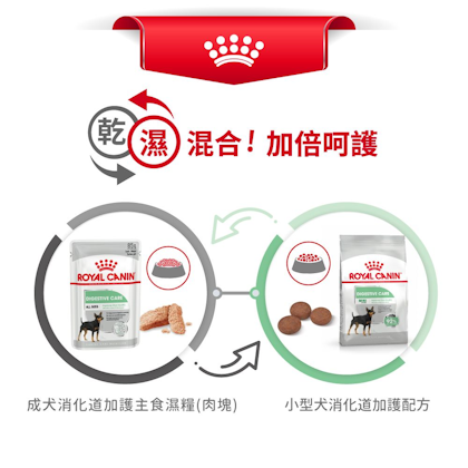 Royal-Canin_成犬消化道加護主食濕糧（肉塊）_正方形_HK_05