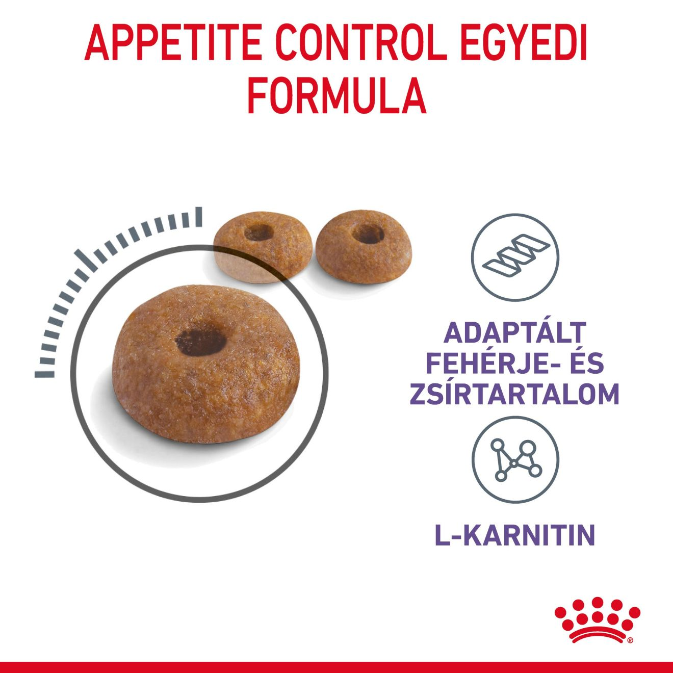 Appetite Control Care