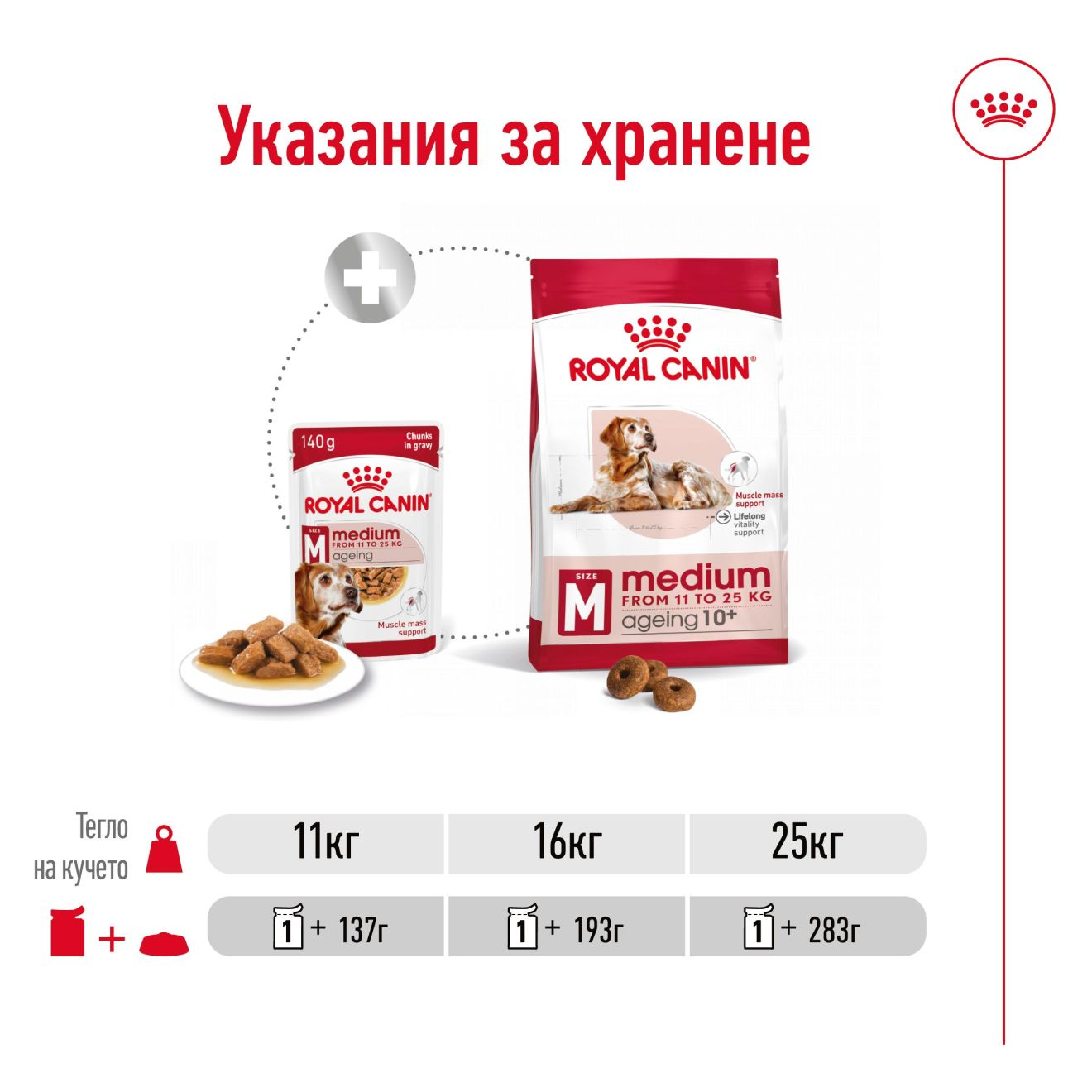 MEDIUM AGEING - CHUNKS IN GRAVY