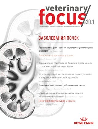 Заболевания почек