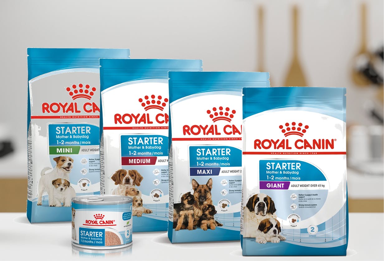 Puppy routine Weaning 1 to 2 months Royal Canin