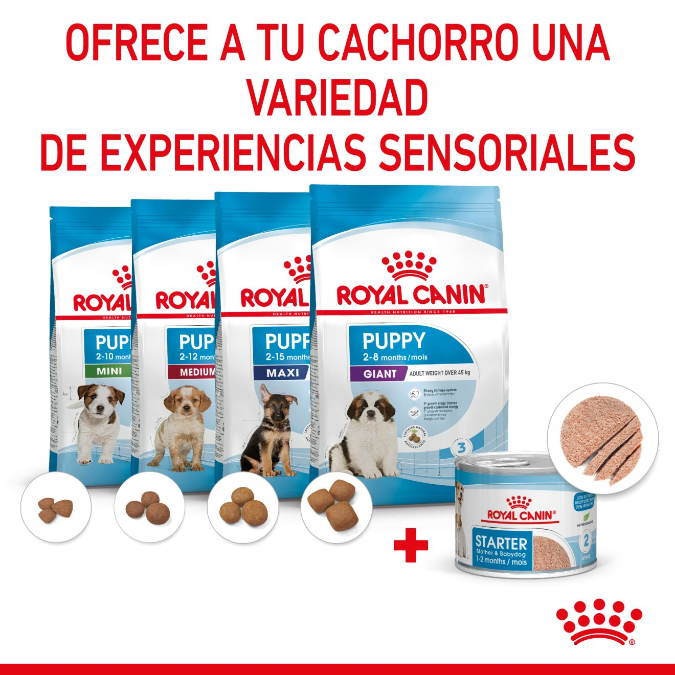 STARTER Mother & Babydog – Ultra soft mousse