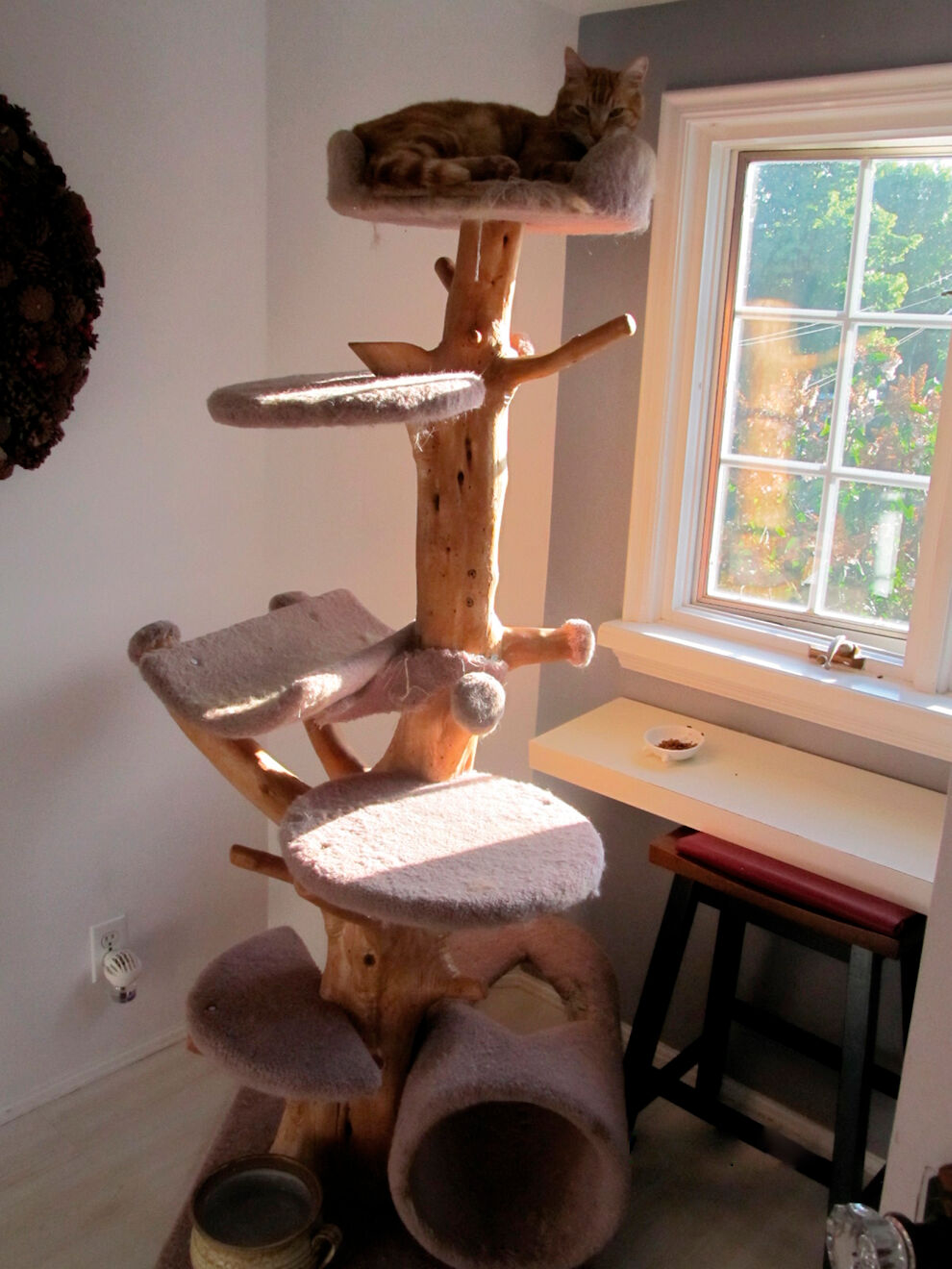 Abbildung 6. Visuelle Stimulation ist wichtig für Katzen. Mindestens ein Ruheplatz (z. B. eine Plattform auf einem Klettergerüst) sollte daher einen sicheren Blick nach draußen ermöglichen.