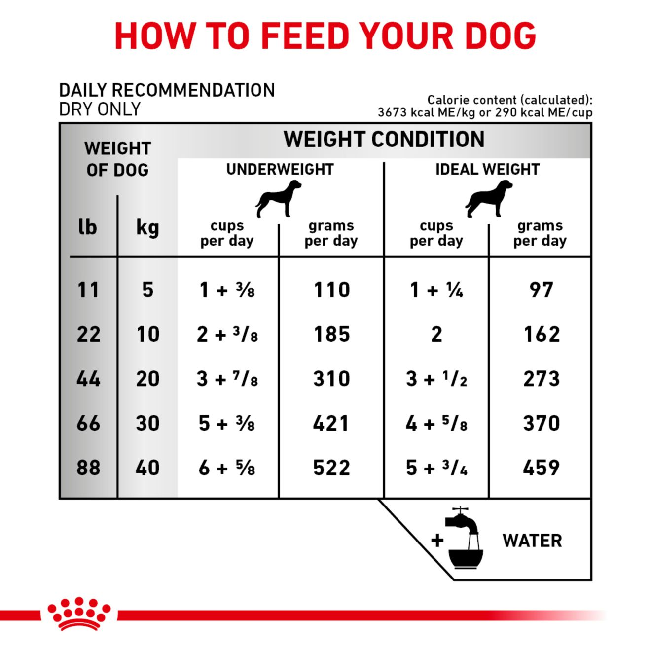 Canine Early Cardiac Royal Canin US