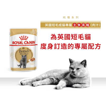 Royal Canin _英國短毛成貓專屬主食濕糧（肉汁）_正方形_HK_1