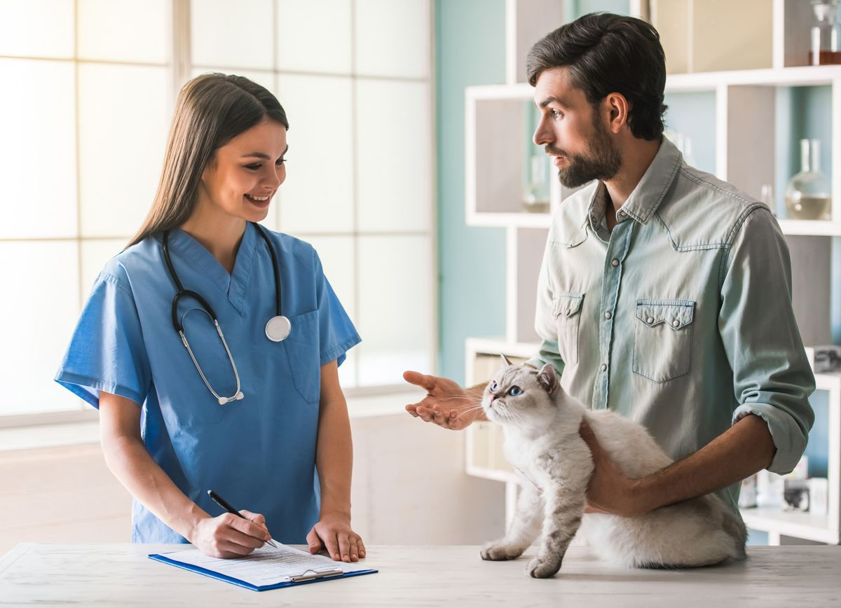 Communication Is A Clinical Skill (part 4) | Vet Focus