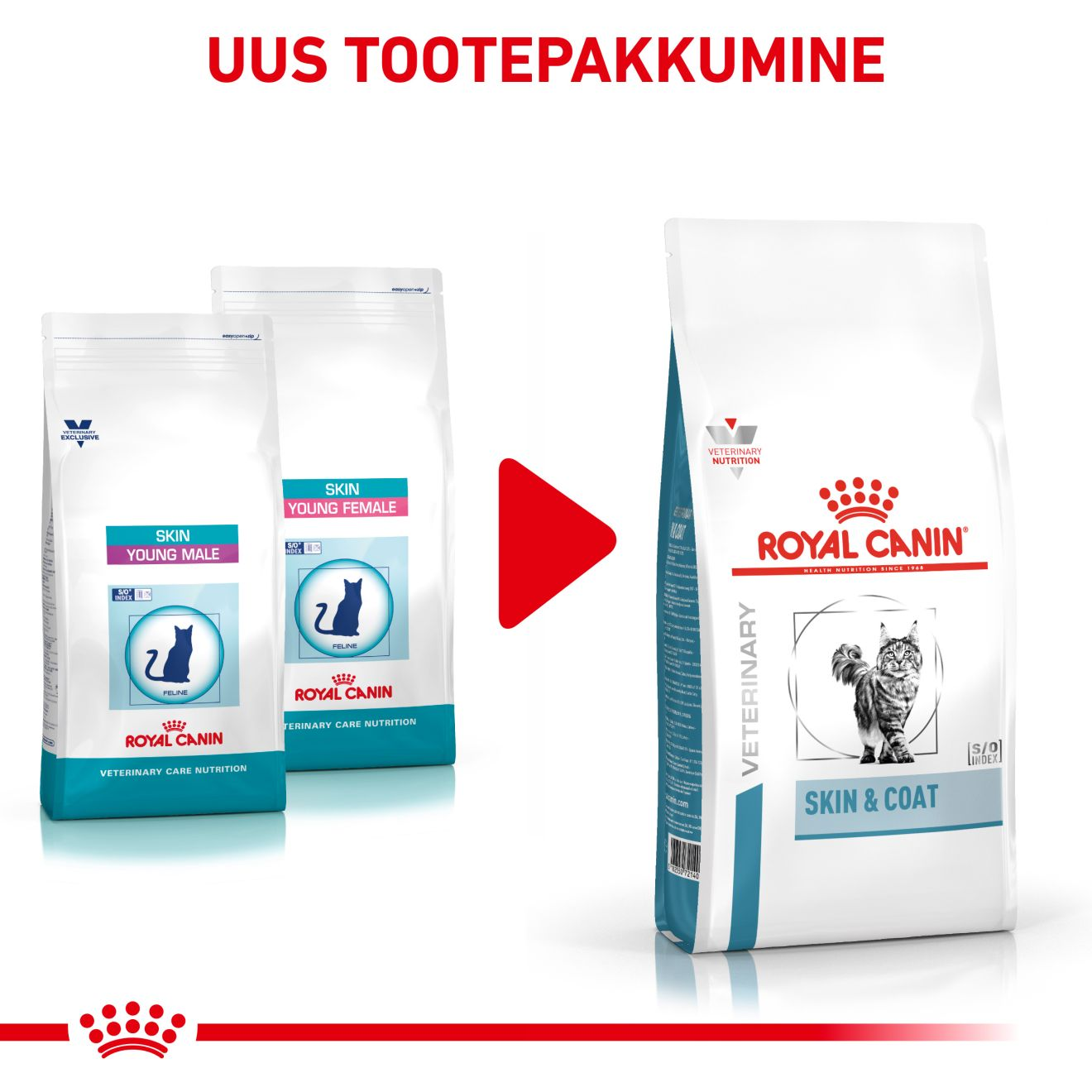 Royal Canin Skin & Coat Cat kuivtoit