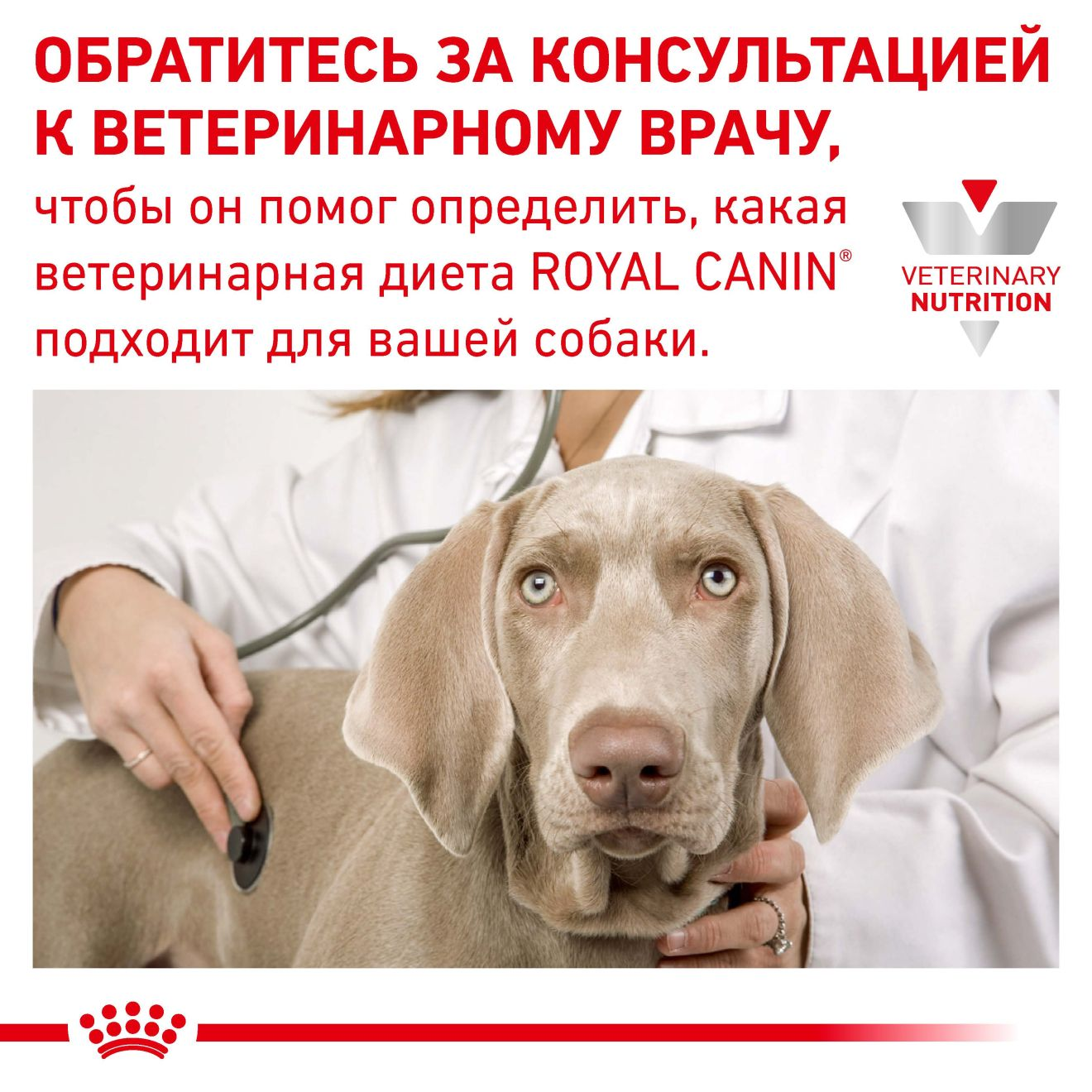 Urinary S O Royal Canin UA