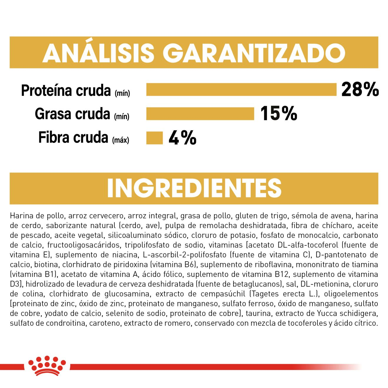 Bulldog Inglés Cachorro