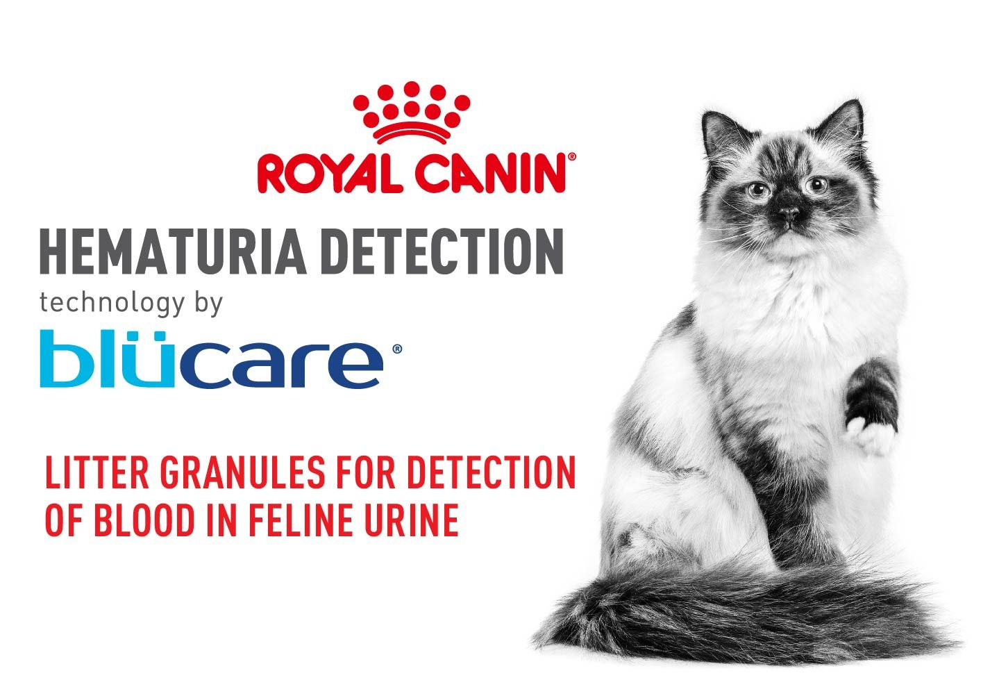 Royal canin outlet litter