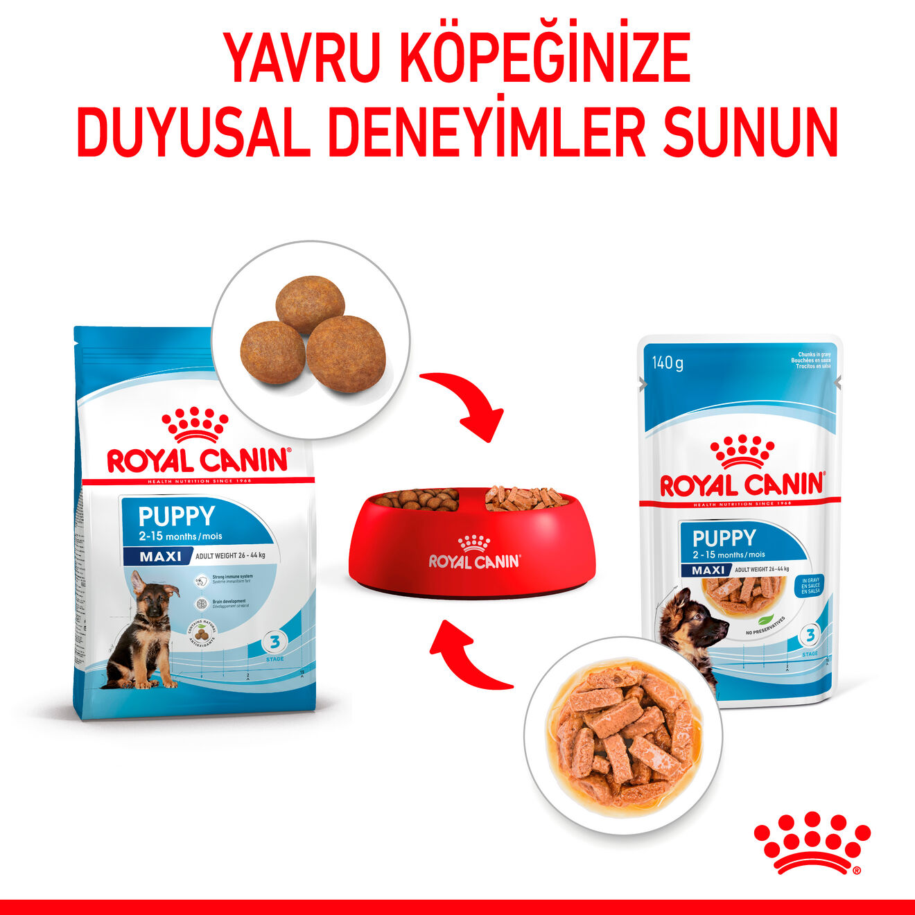 Maxi Puppy Gravy Yavru Köpek Yaş Maması