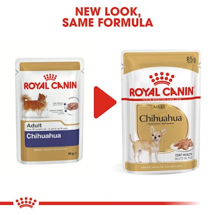 Chihuahua food 2024 royal canin