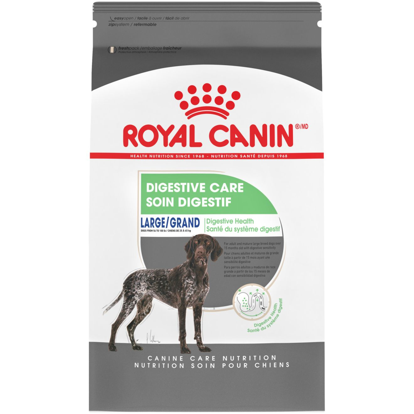 Royal canin puppy 2024 food large breed