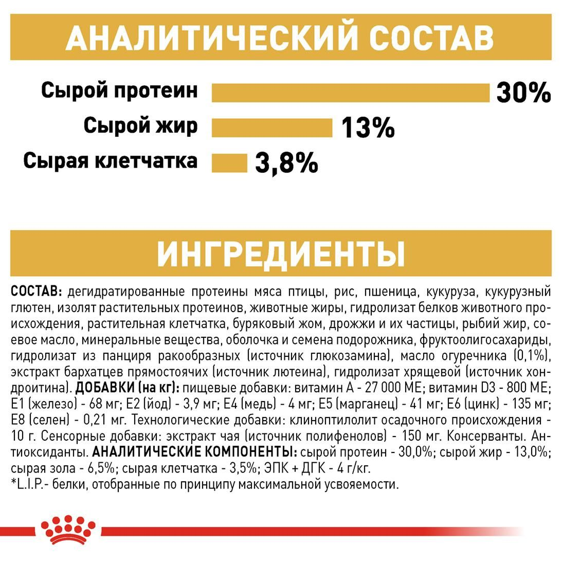 Labrador Retriever Adult