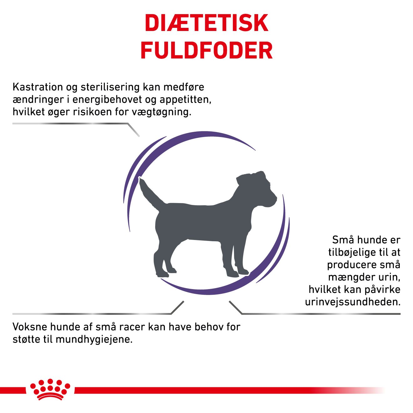 Health Neutered Adult Small Dog