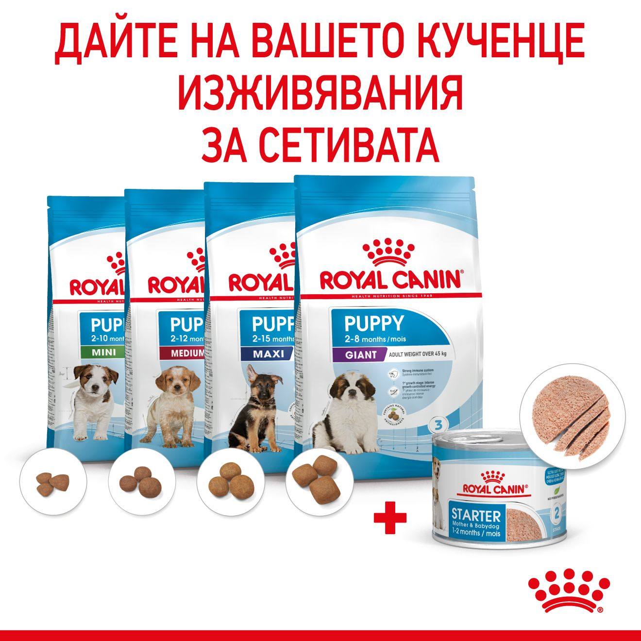 STARTER Mother & Babydog мус