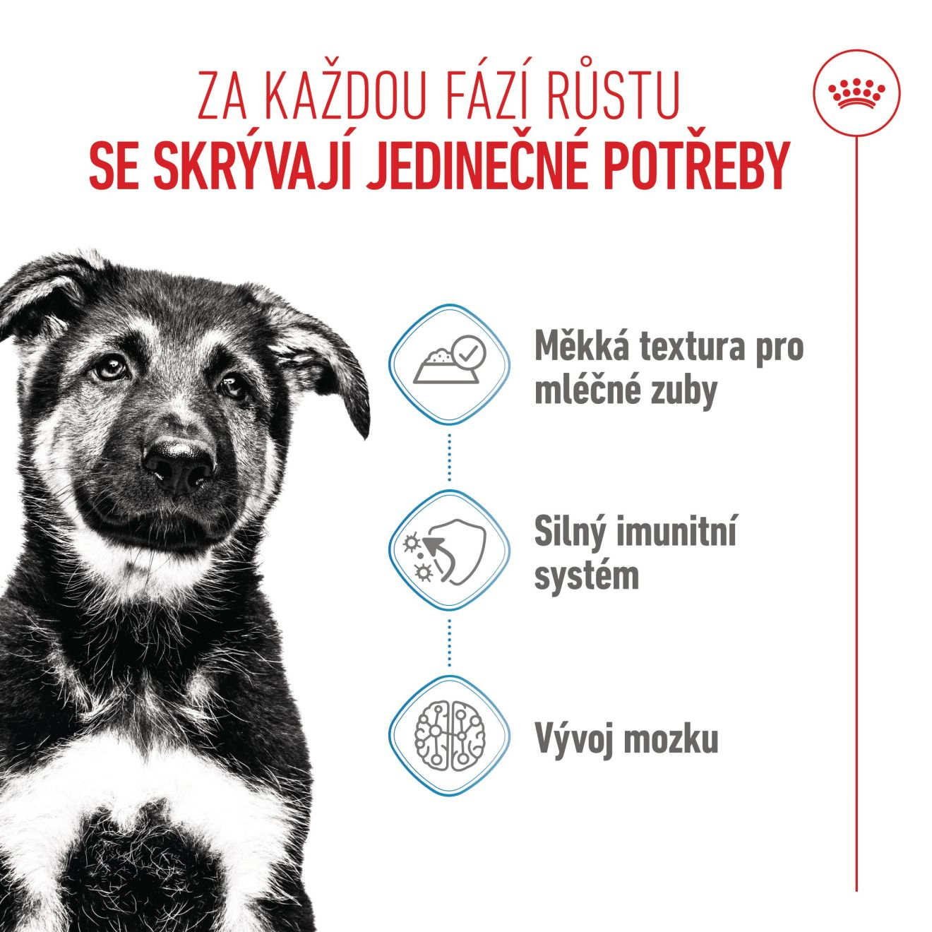 MAXI  PUPPY kousky ve šťávě