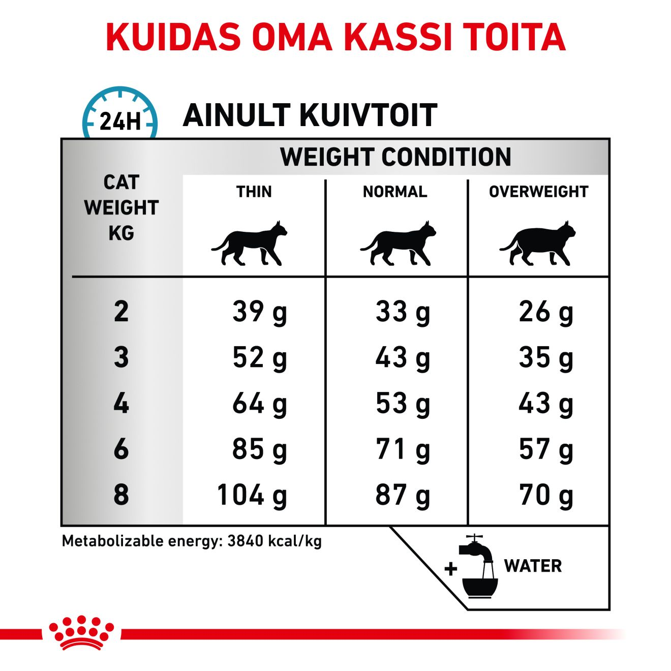 Royal Canin Skin & Coat Cat kuivtoit
