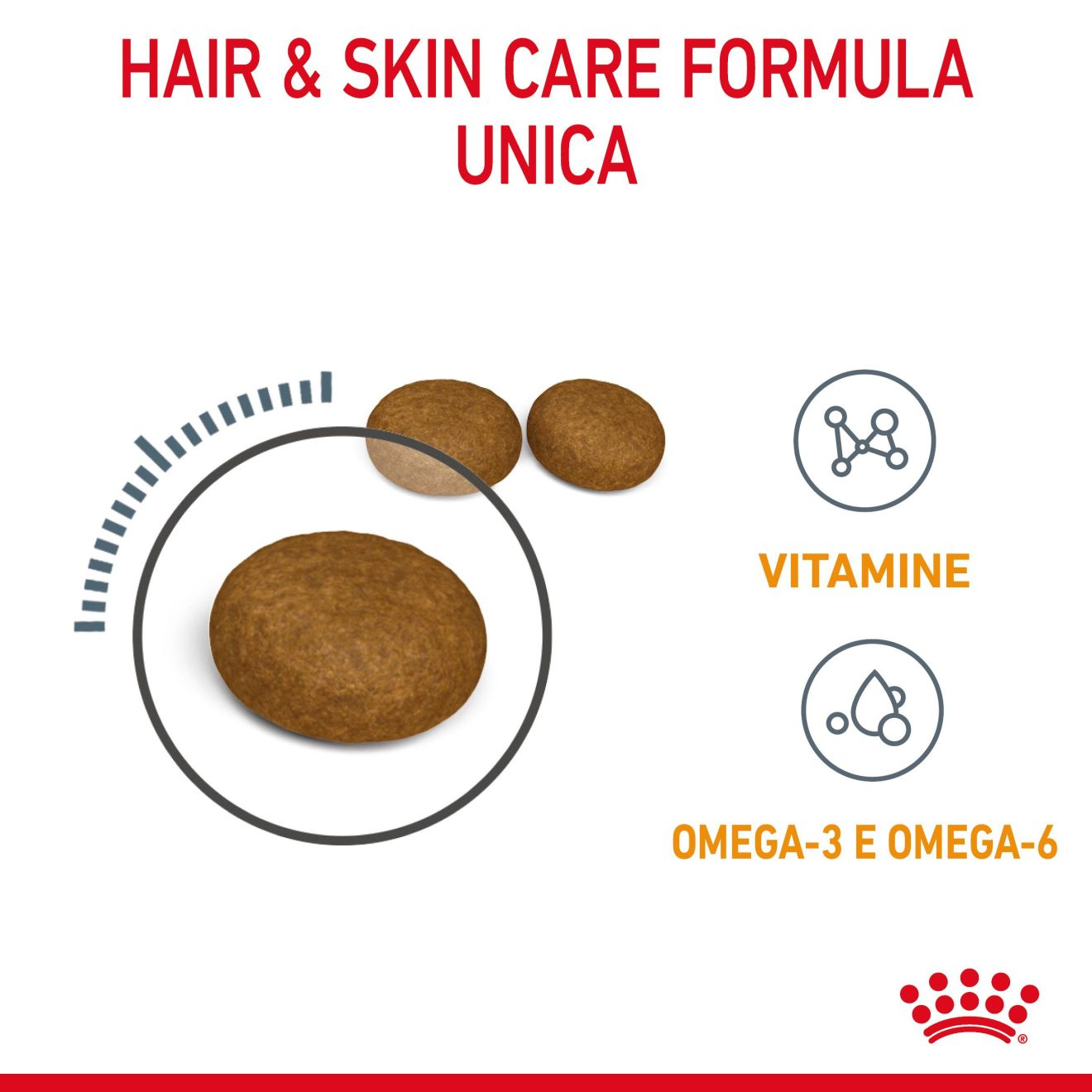 Hair & Skin Care