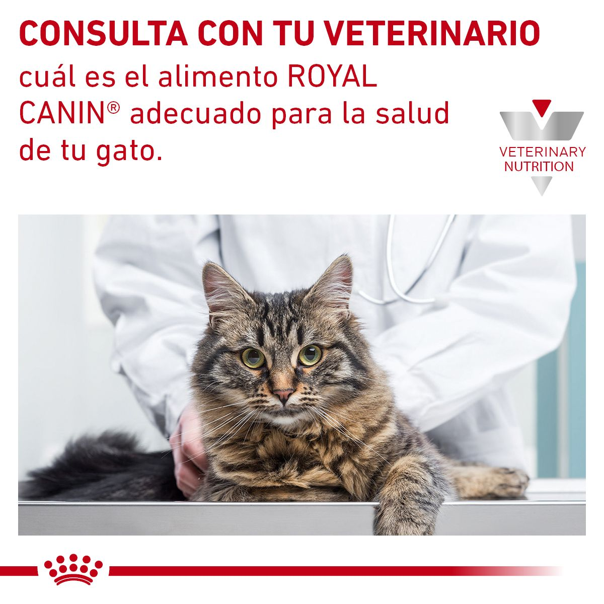 Satiety Support Feline